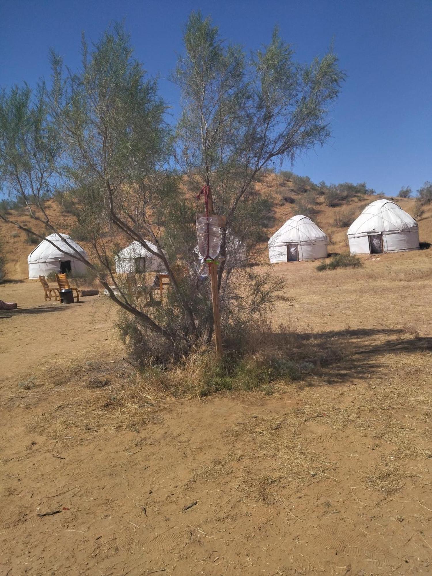 Authentic Uzbek Yurt Camp Eco-Friendly Hotel Nurota Buitenkant foto